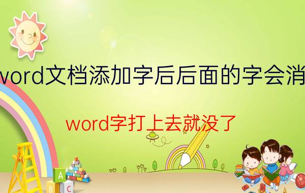 word文档添加字后后面的字会消失 word字打上去就没了？